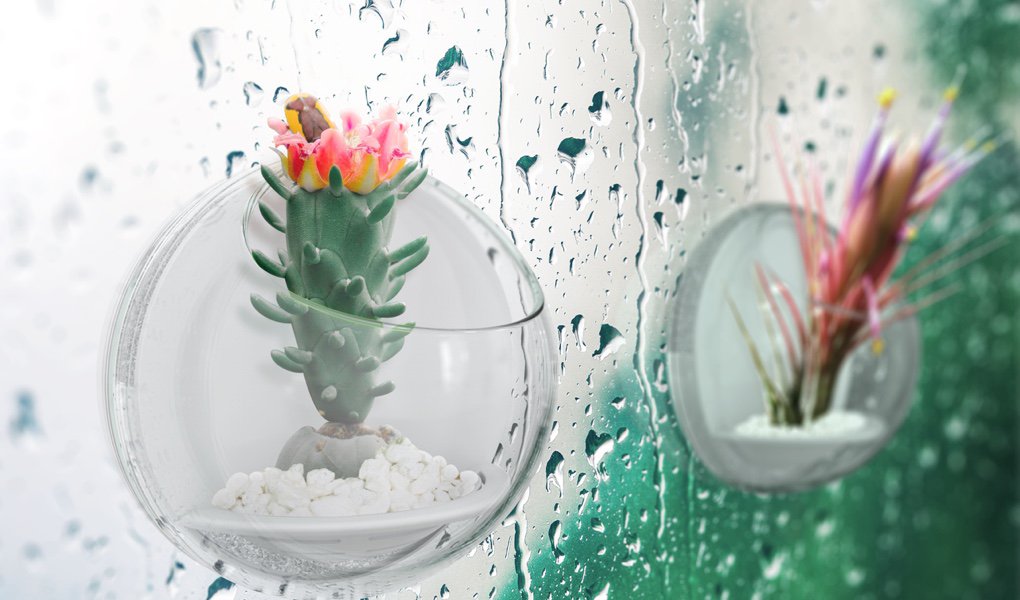 使用シーン1 結露したガラスの水を植物の育成に活用します