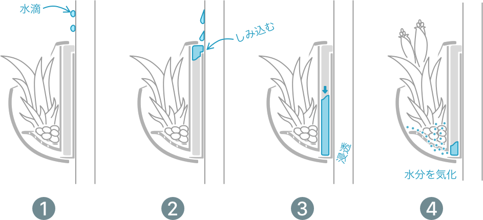 ガラス面についた水滴を植物の育成に活用するデザイン